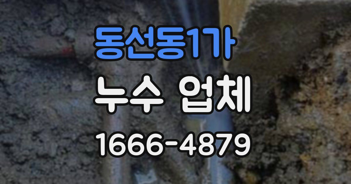 동선동1가 누수 업체