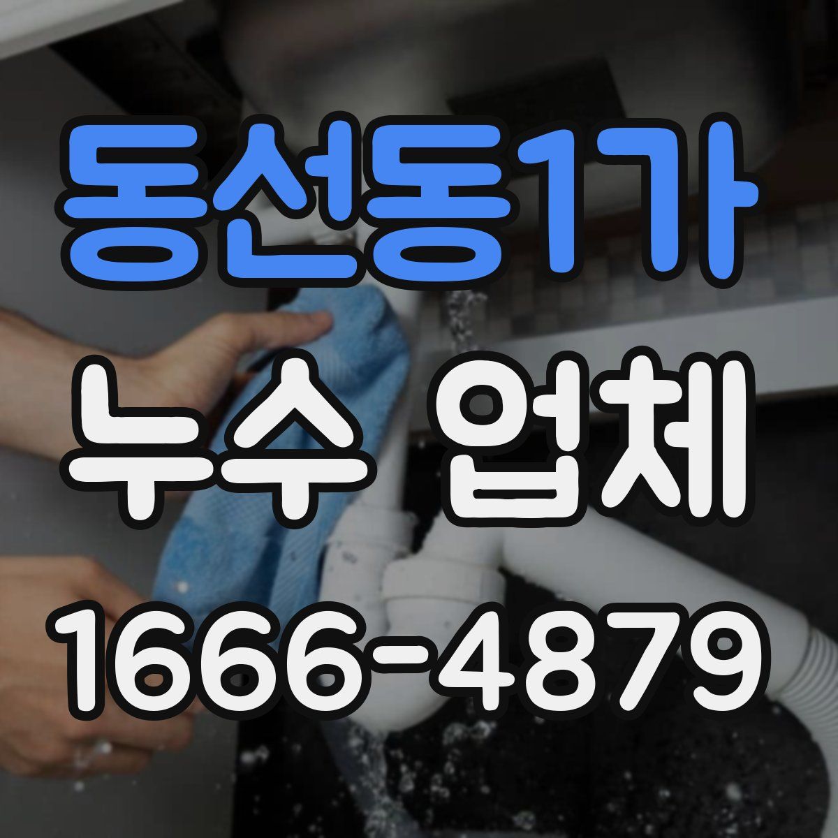 동선동1가 누수 업체