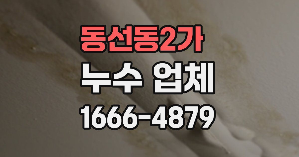 동선동2가 누수 업체
