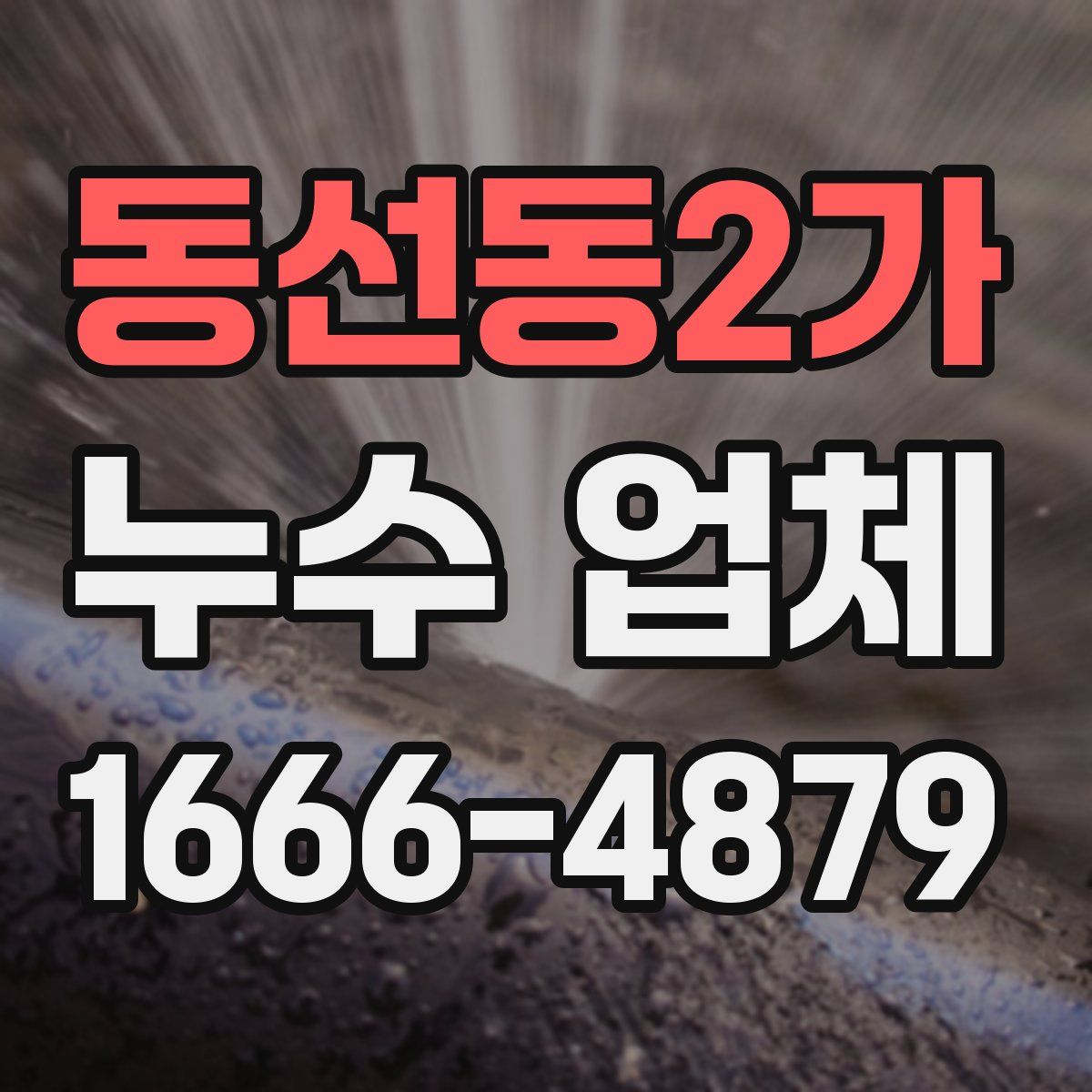 동선동2가 누수 업체