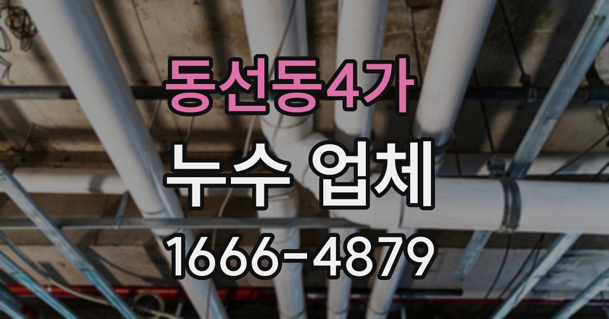 동선동4가 누수 업체