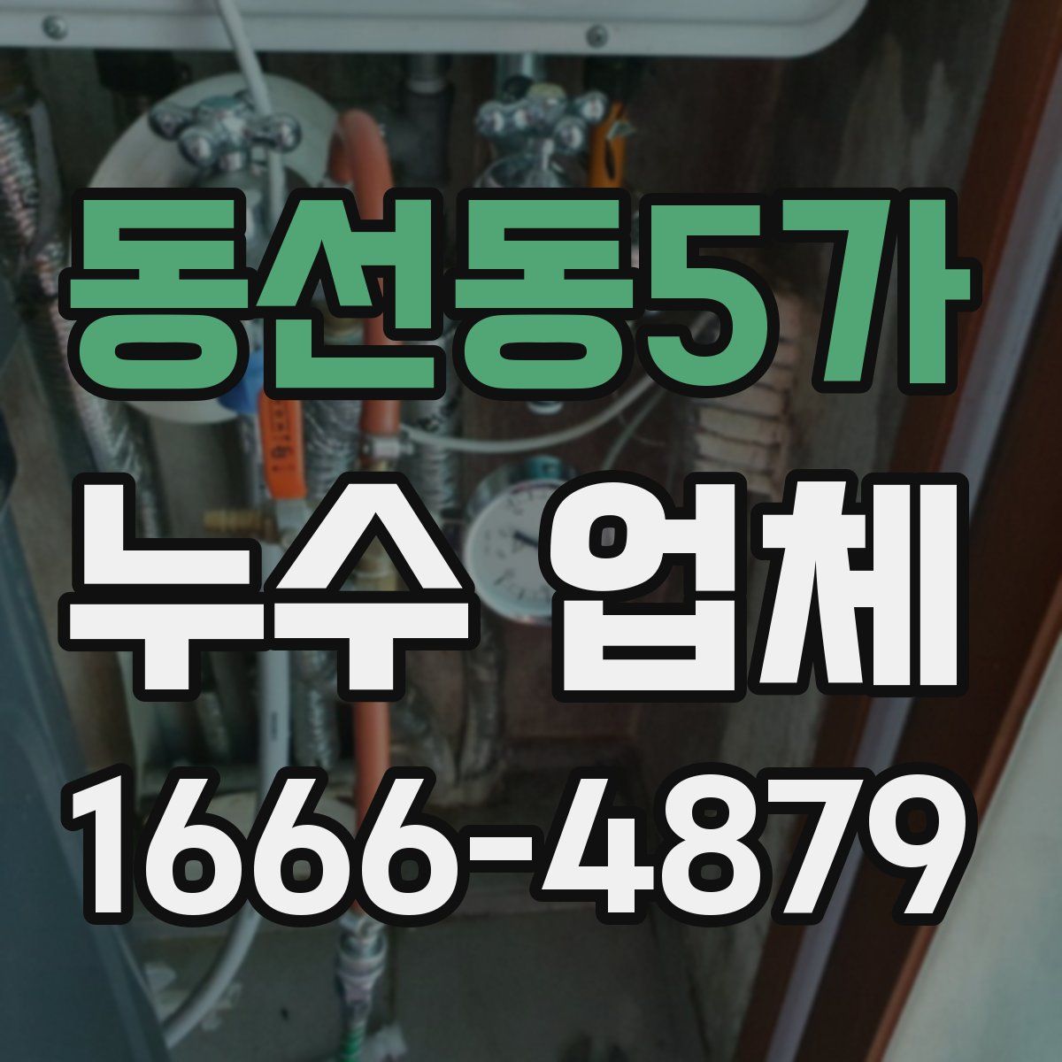 동선동5가 누수 업체