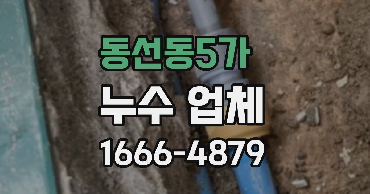 동선동5가 누수 업체