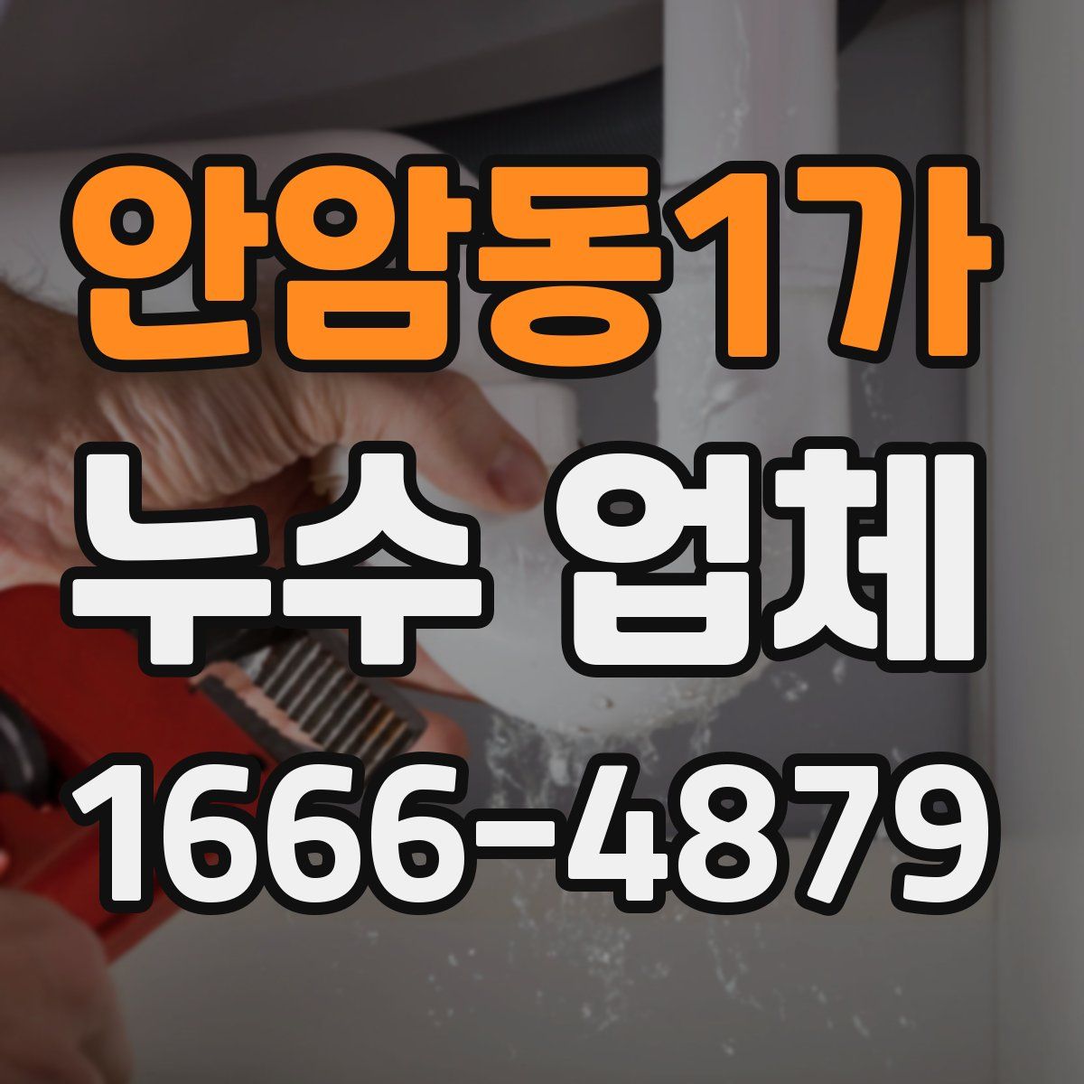 안암동1가 누수 업체