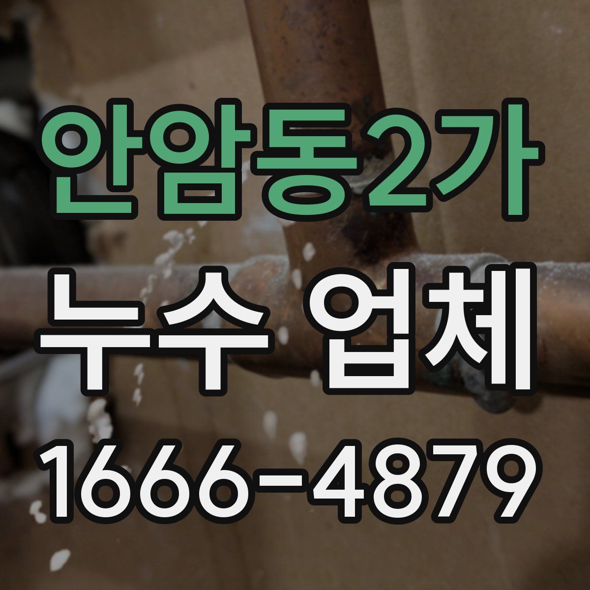 안암동2가 누수 업체