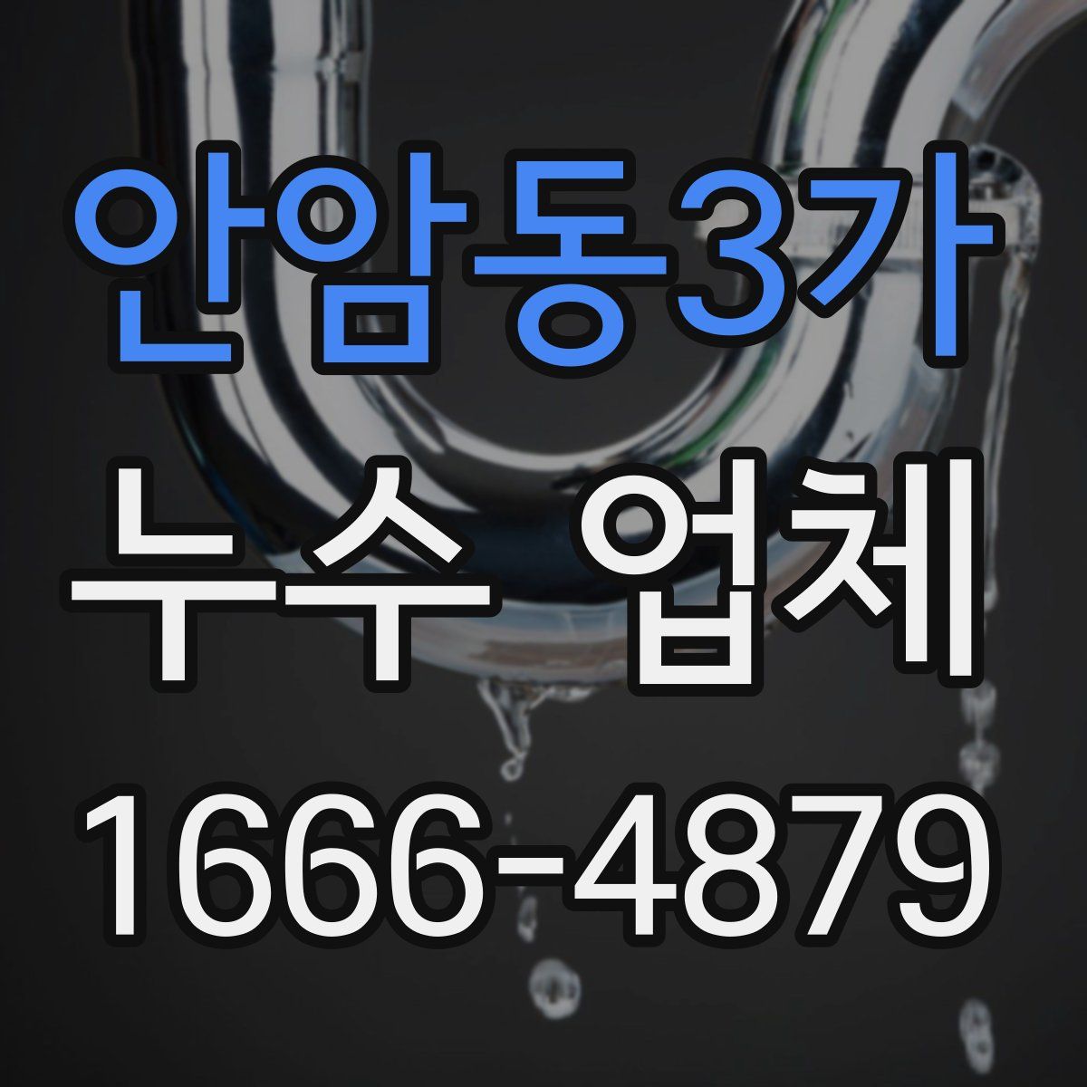 안암동3가 누수 업체