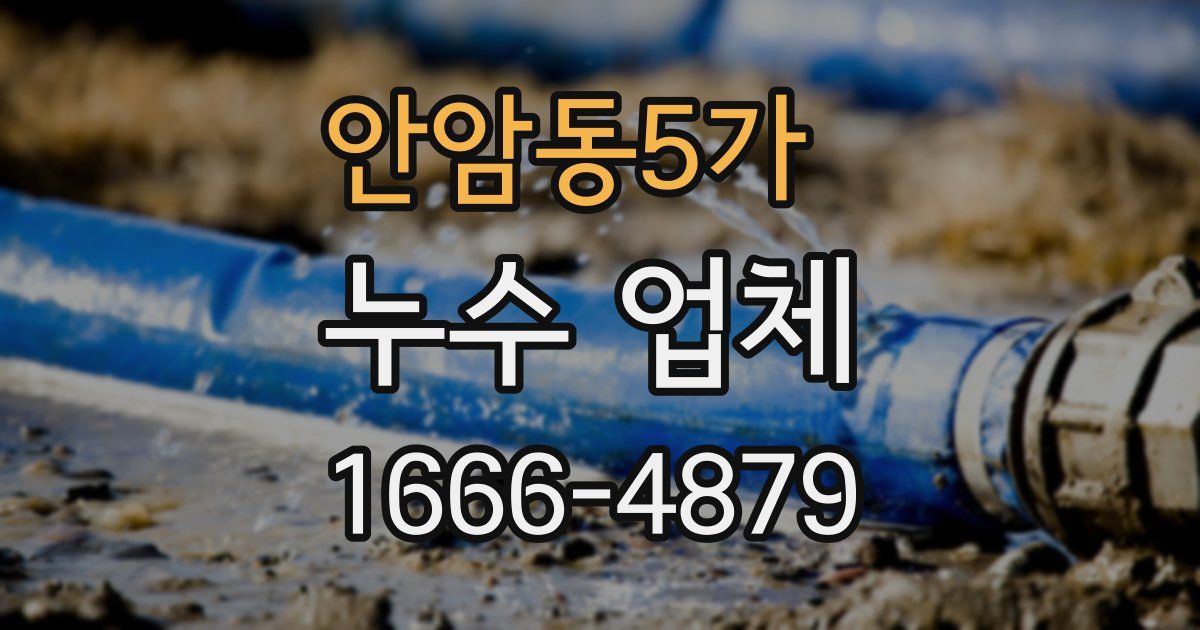 안암동5가 누수 업체