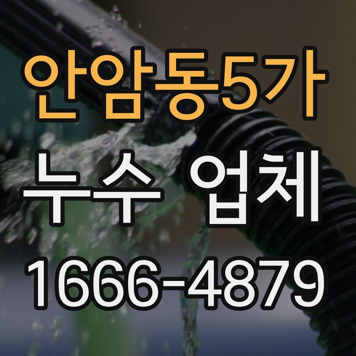 안암동5가 누수 업체
