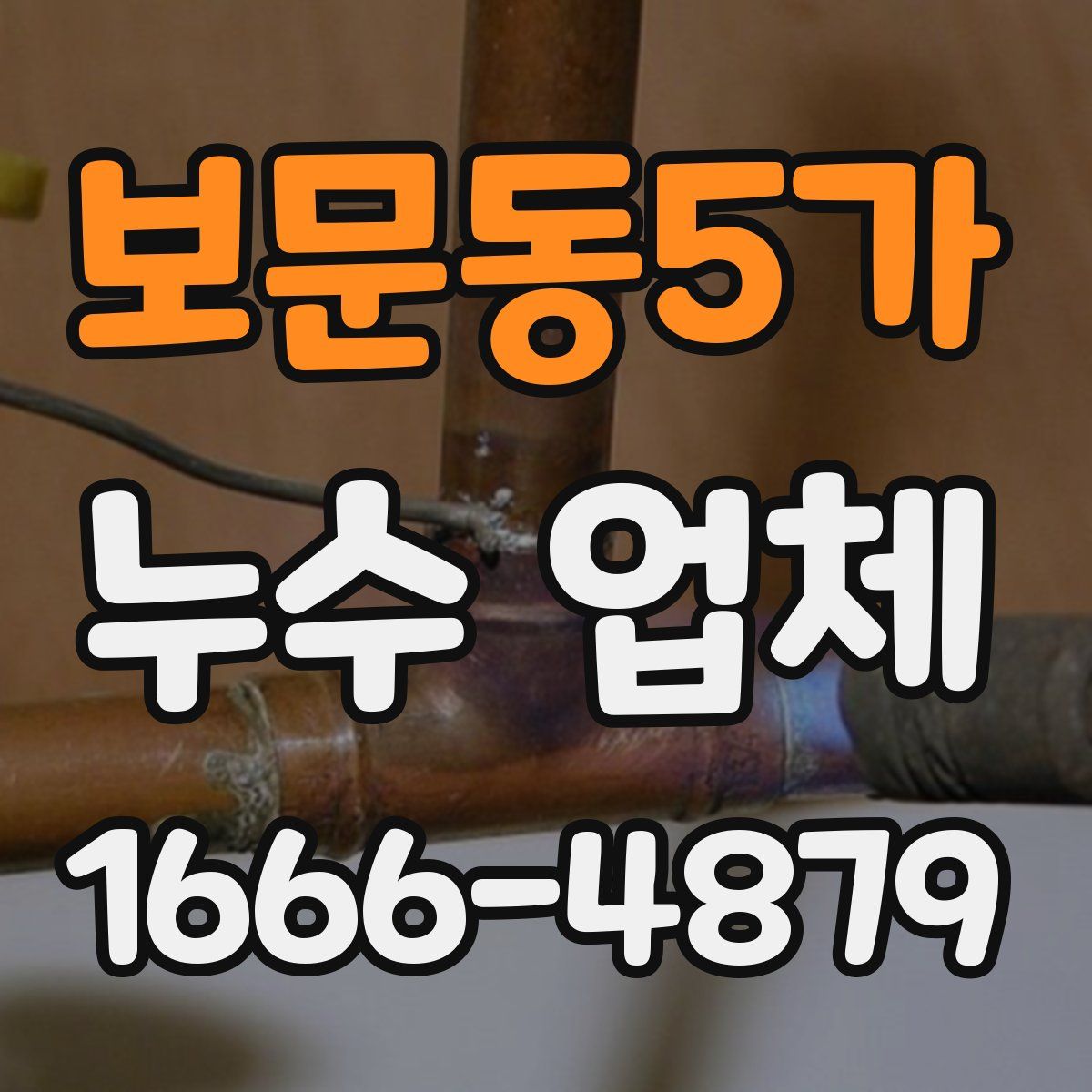 보문동5가 누수 업체