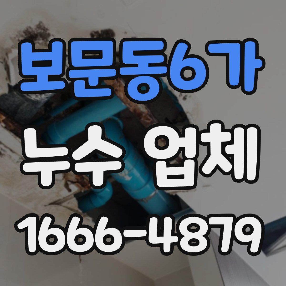 보문동6가 누수 업체