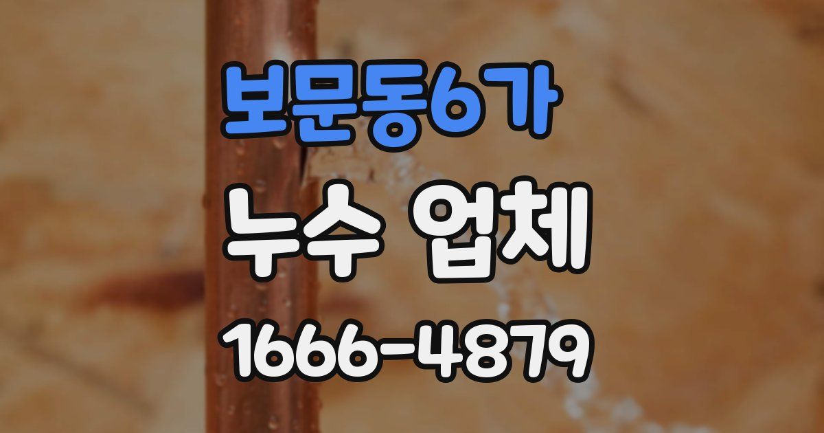 보문동6가 누수 업체