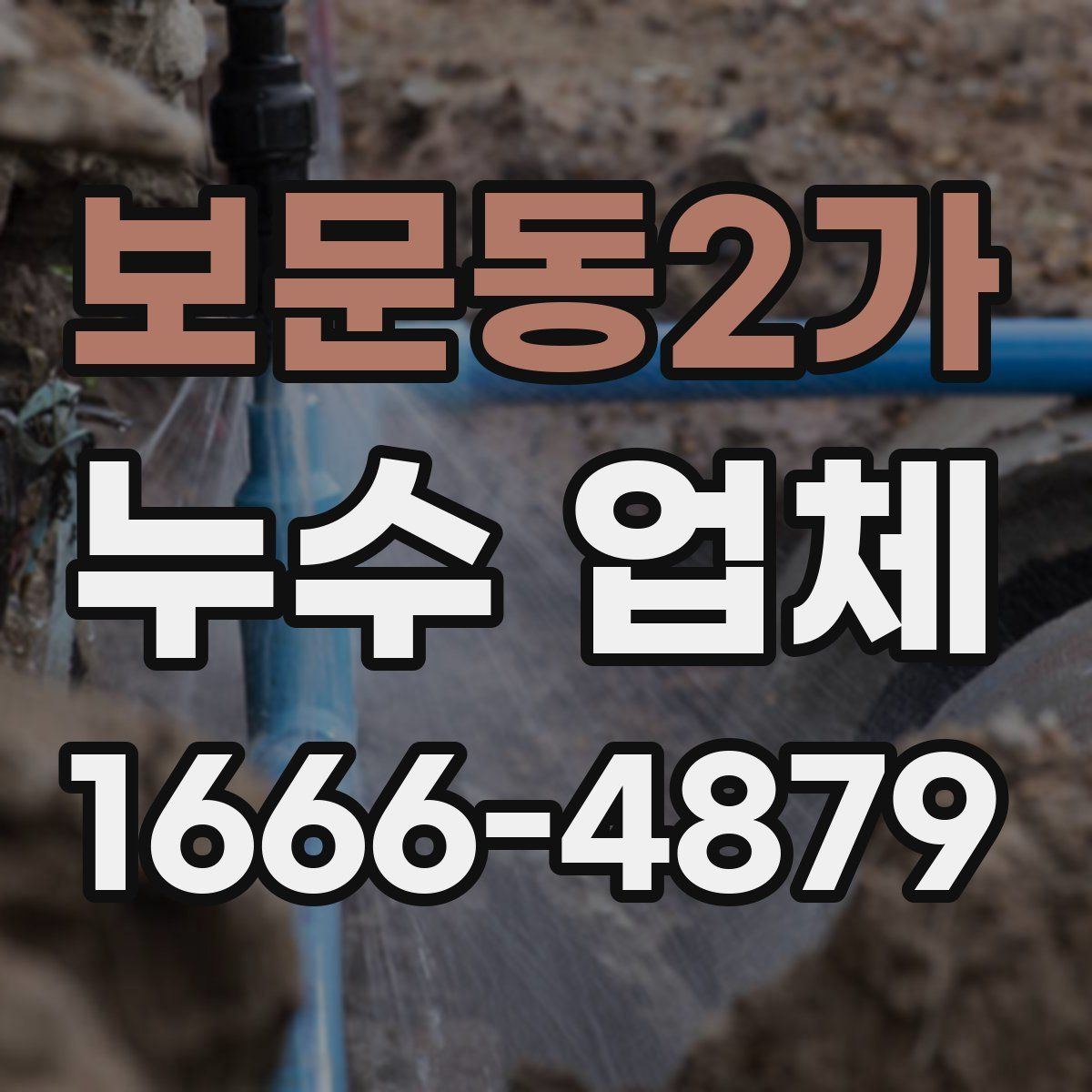 보문동2가 누수 업체
