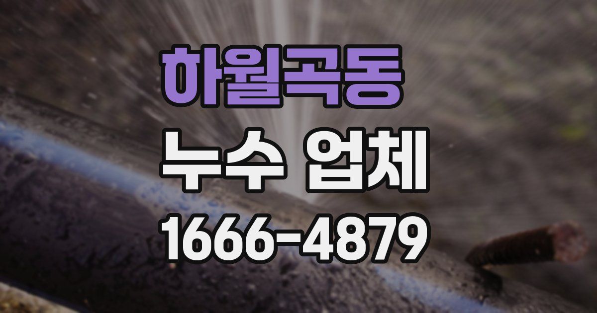 하월곡동 누수 업체