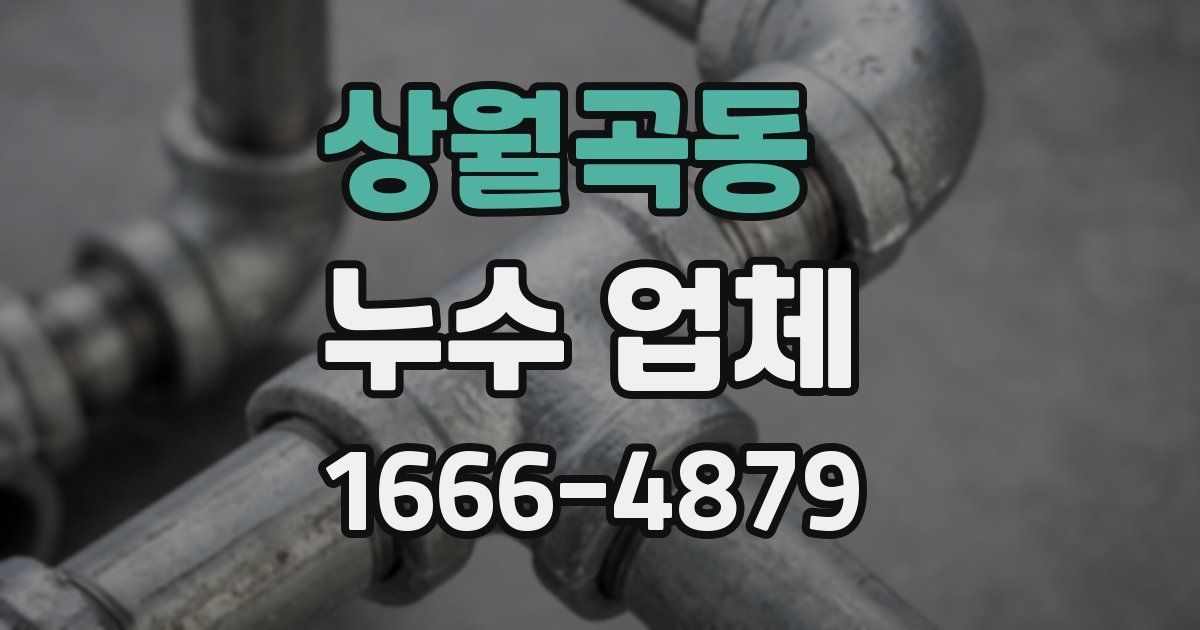상월곡동 누수 업체