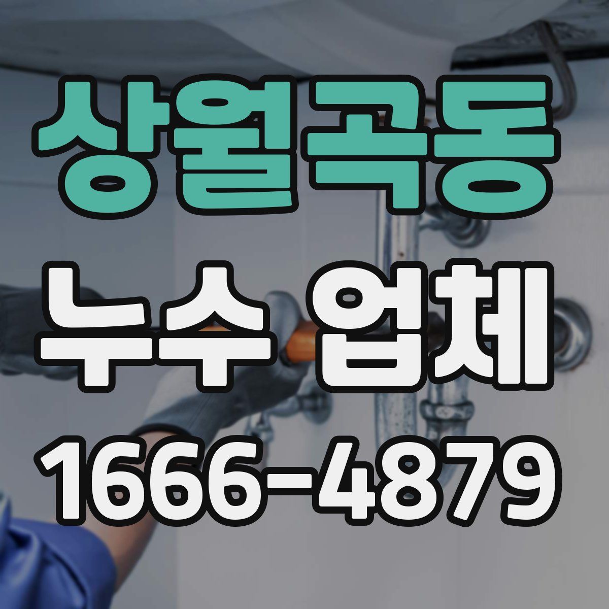 상월곡동 누수 업체