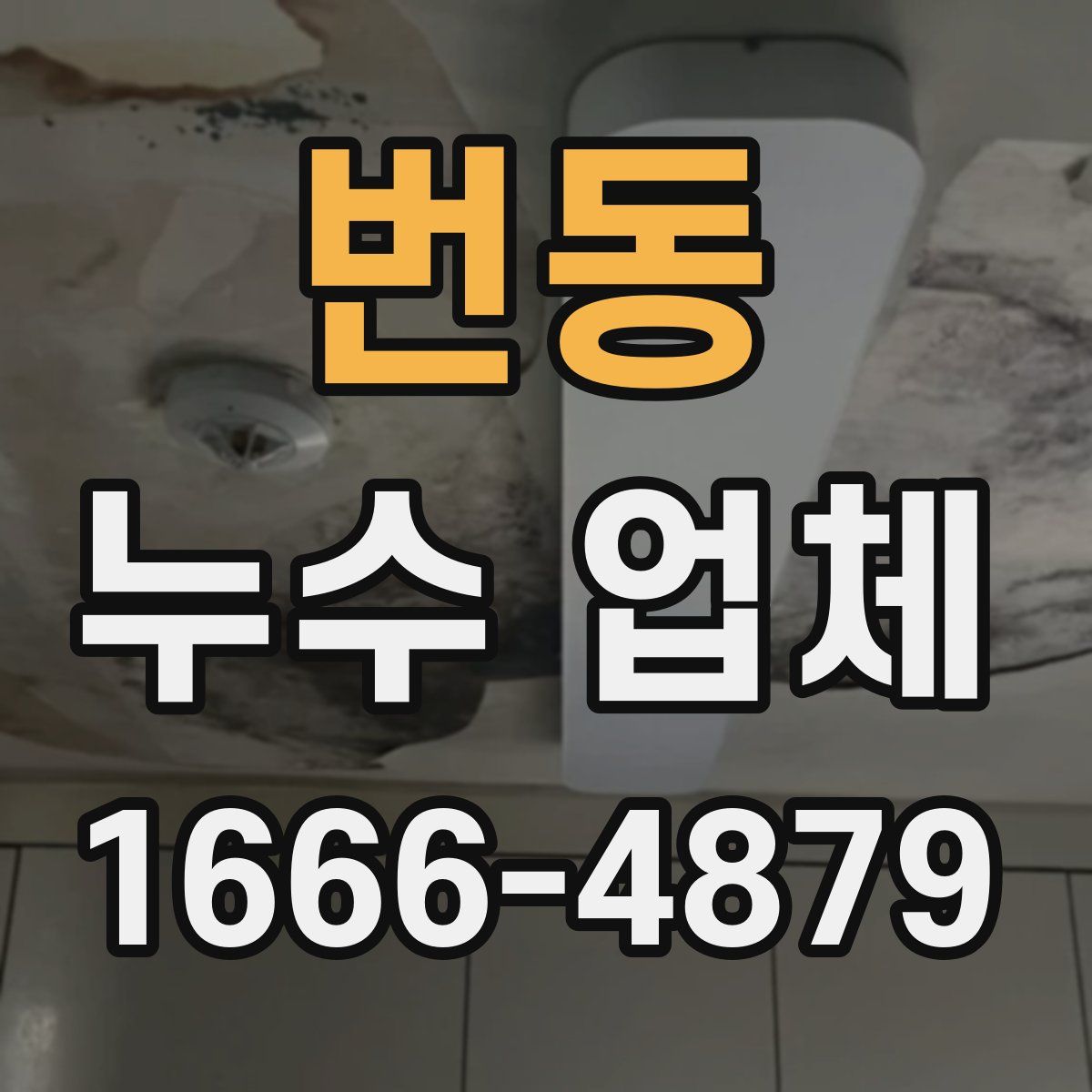 번동 누수 업체