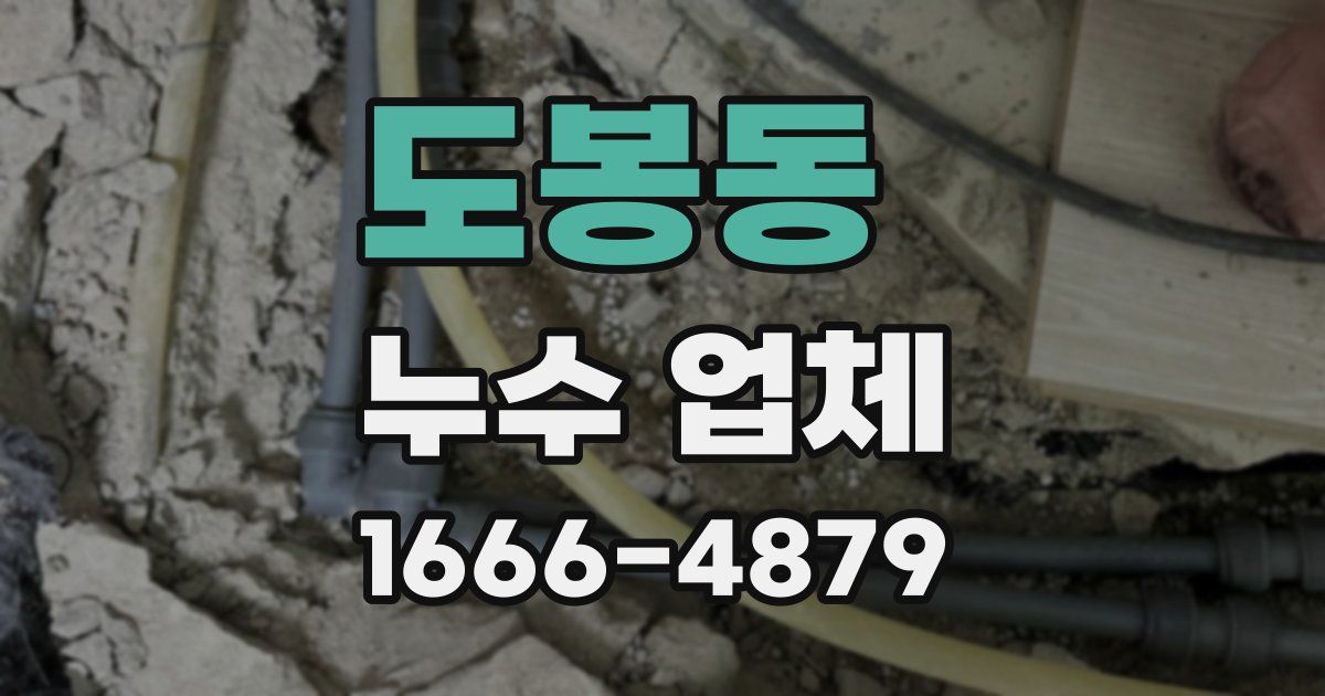 도봉동 누수 업체