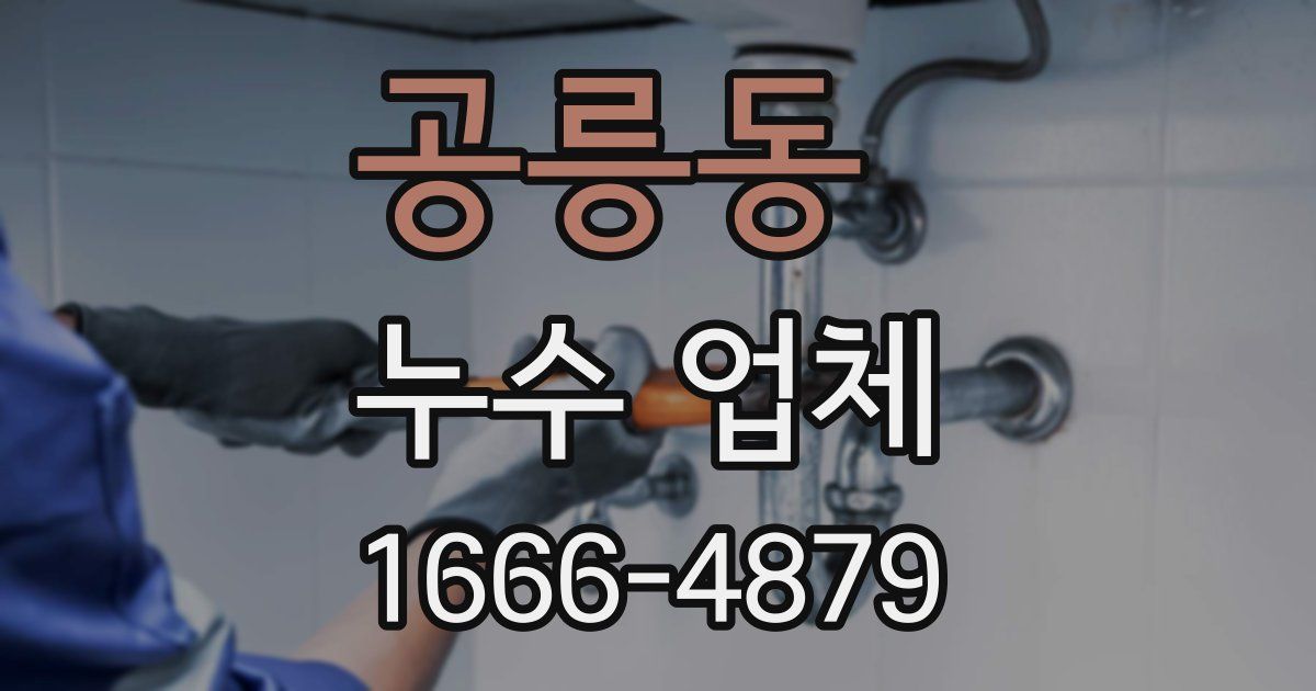 공릉동 누수 업체