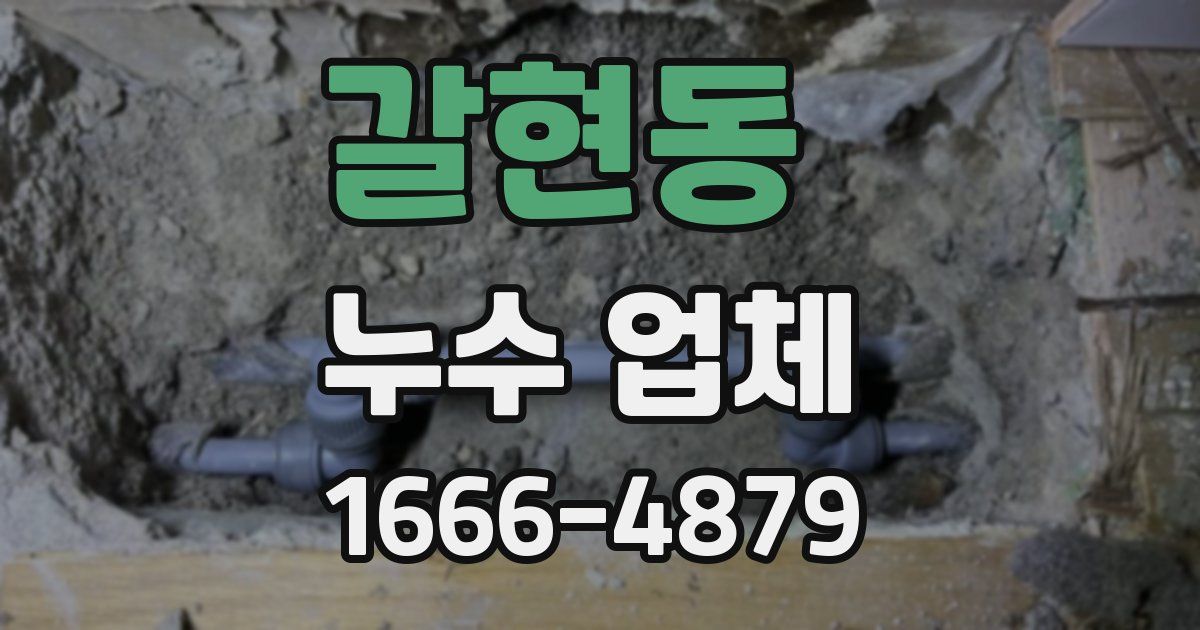 갈현동 누수 업체