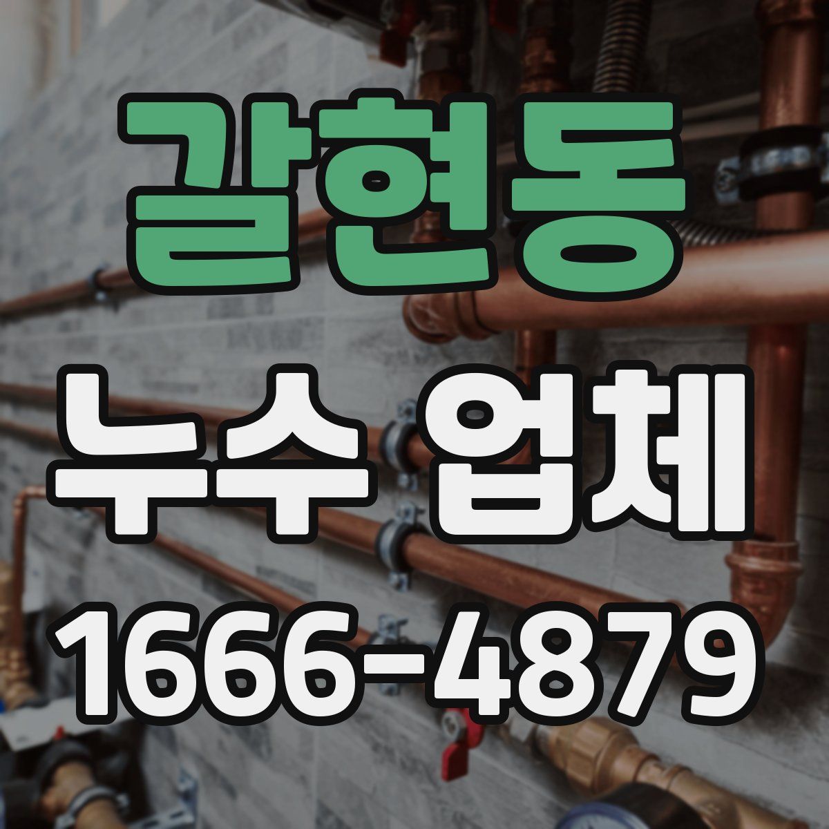갈현동 누수 업체