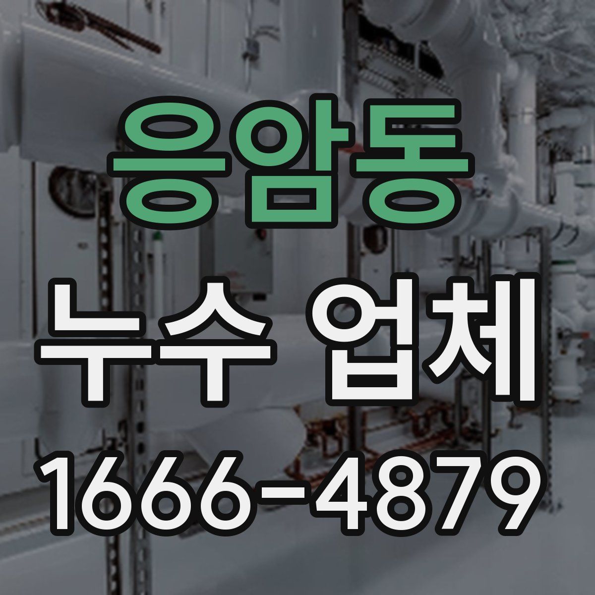 응암동 누수 업체