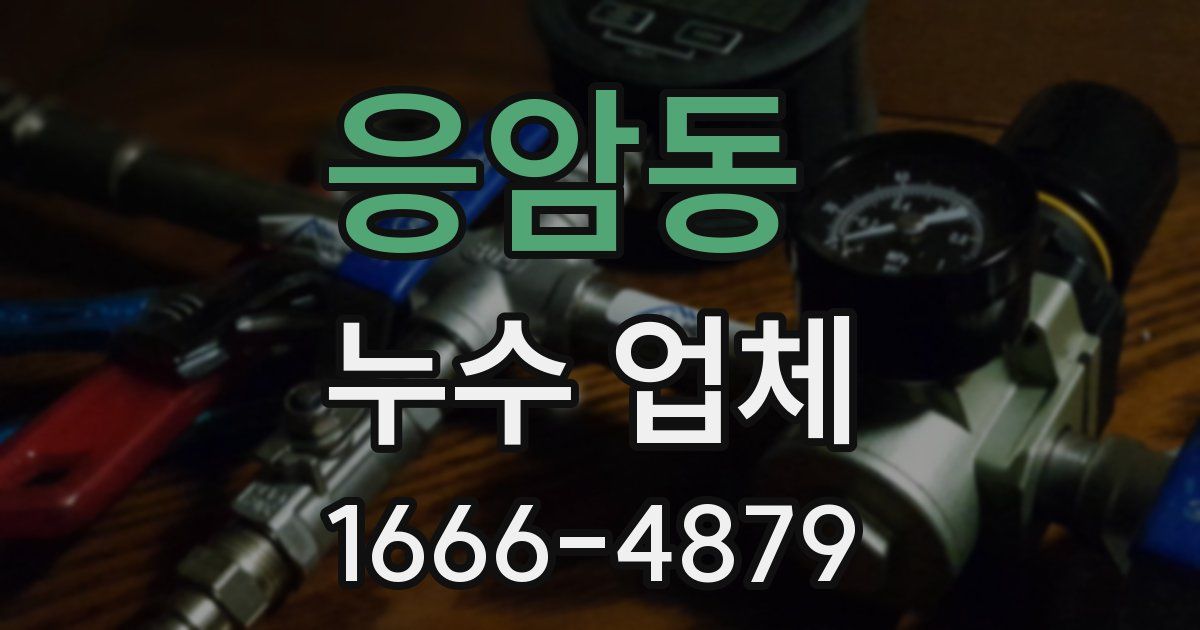 응암동 누수 업체