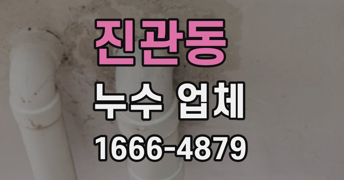 진관동 누수 업체