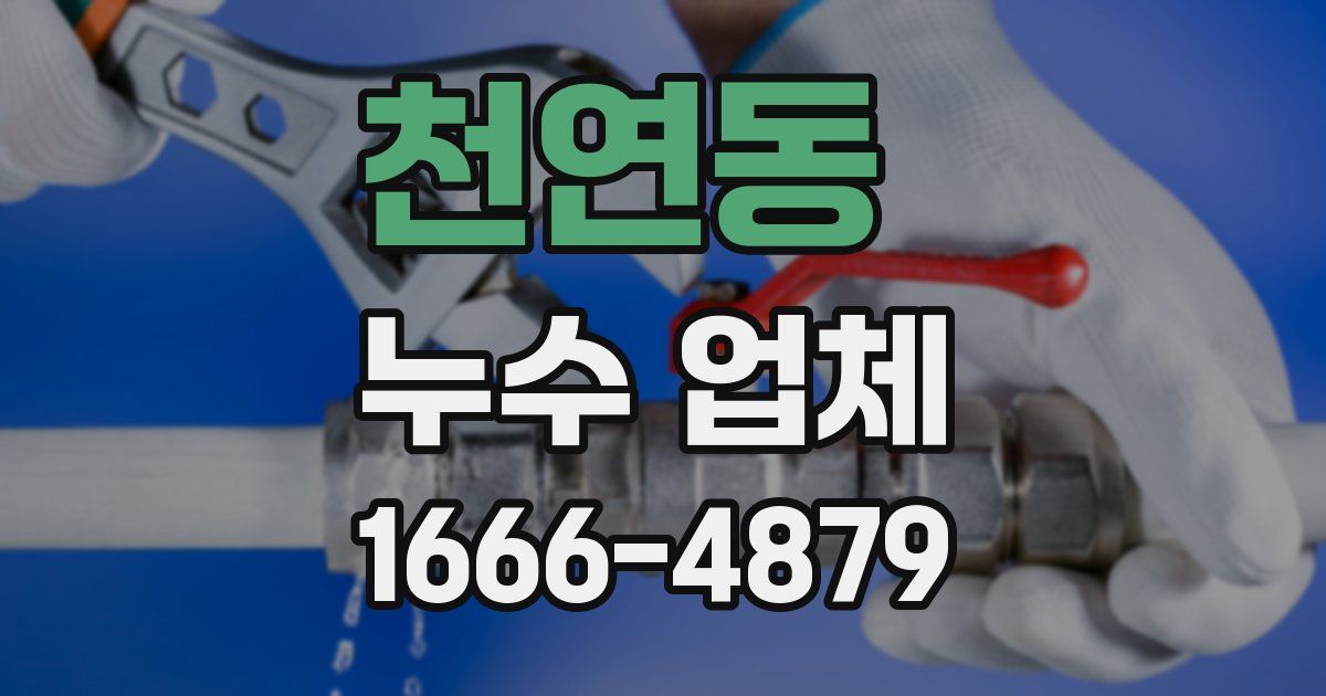 천연동 누수 업체