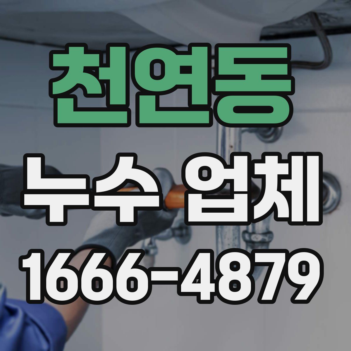 천연동 누수 업체