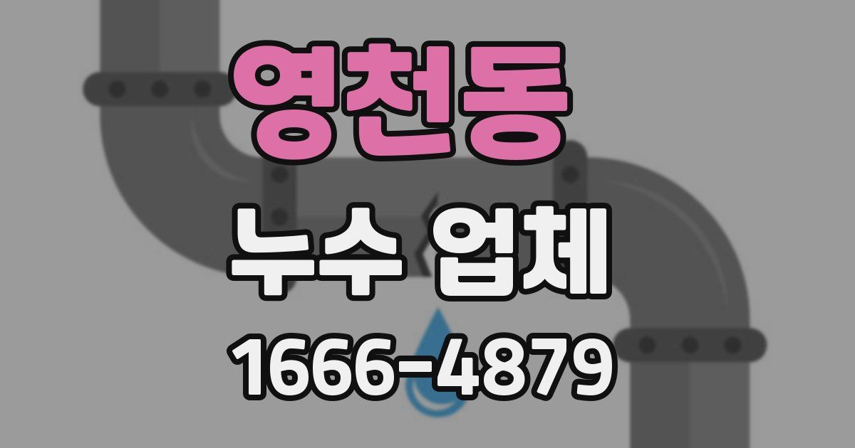 영천동 누수 업체