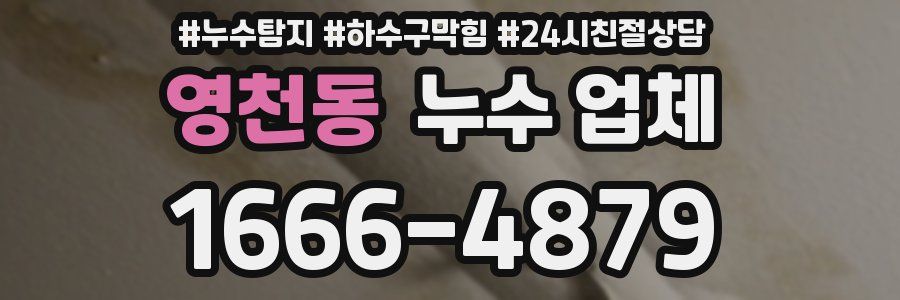 영천동 누수 업체