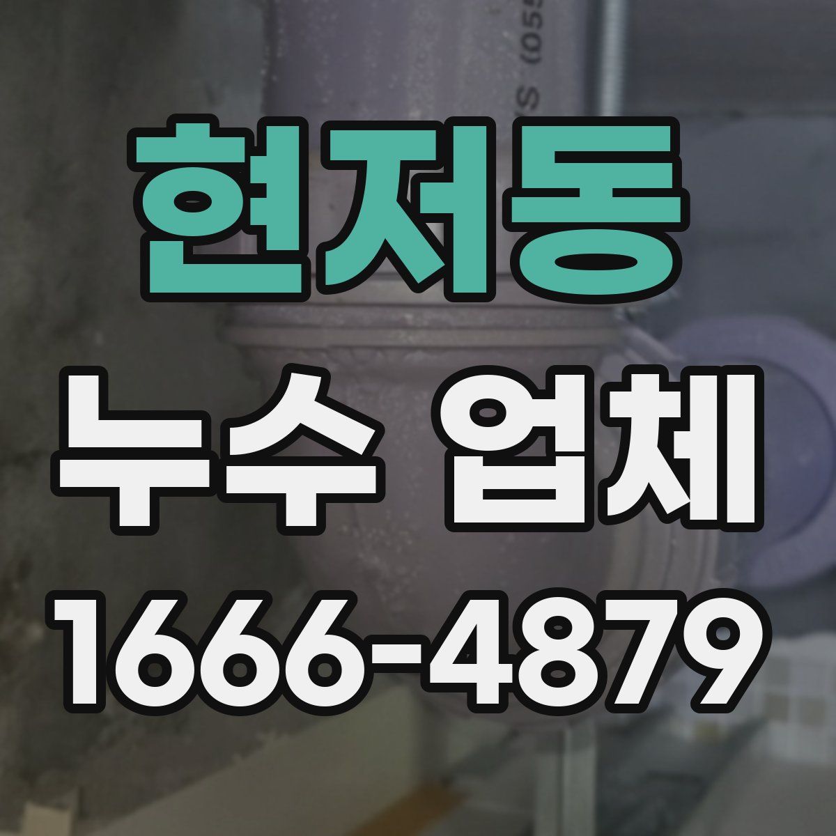 현저동 누수 업체