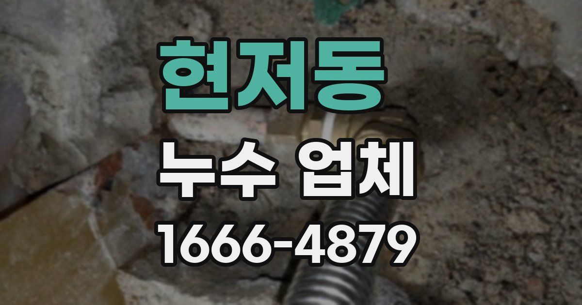 현저동 누수 업체