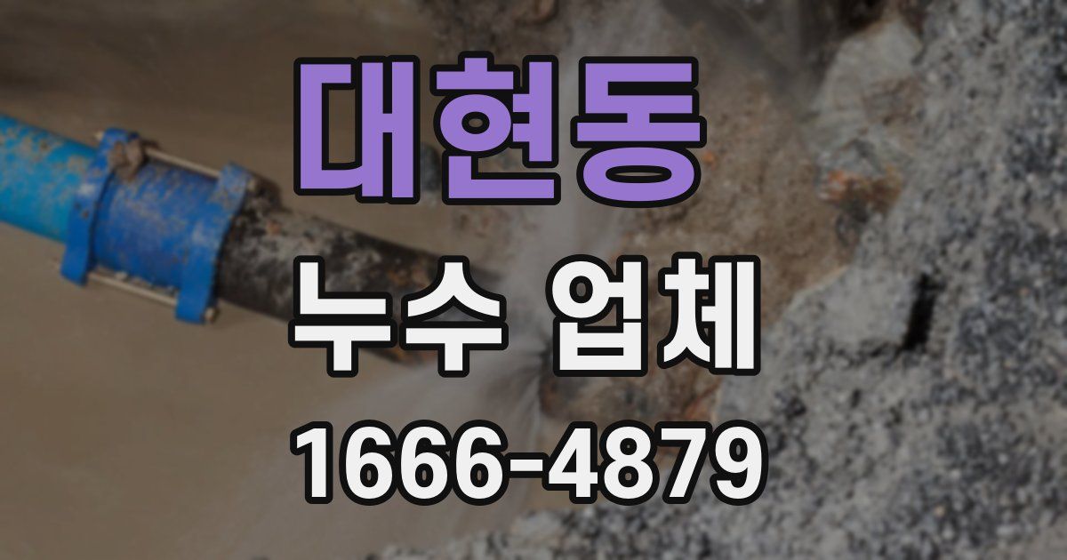 대현동 누수 업체