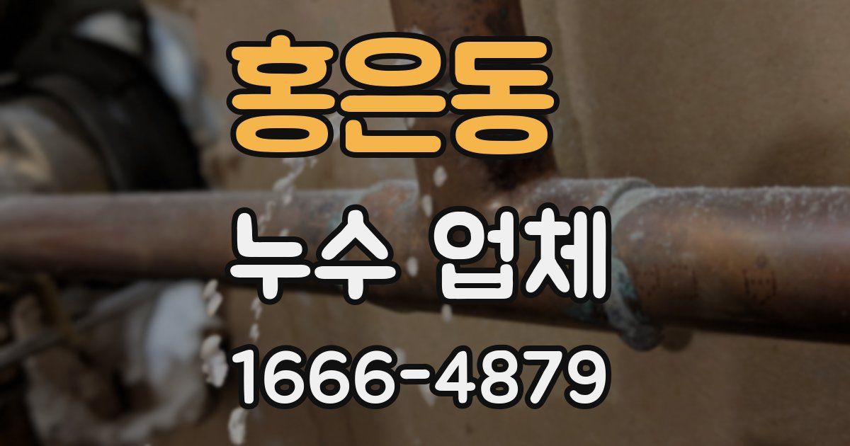 홍은동 누수 업체