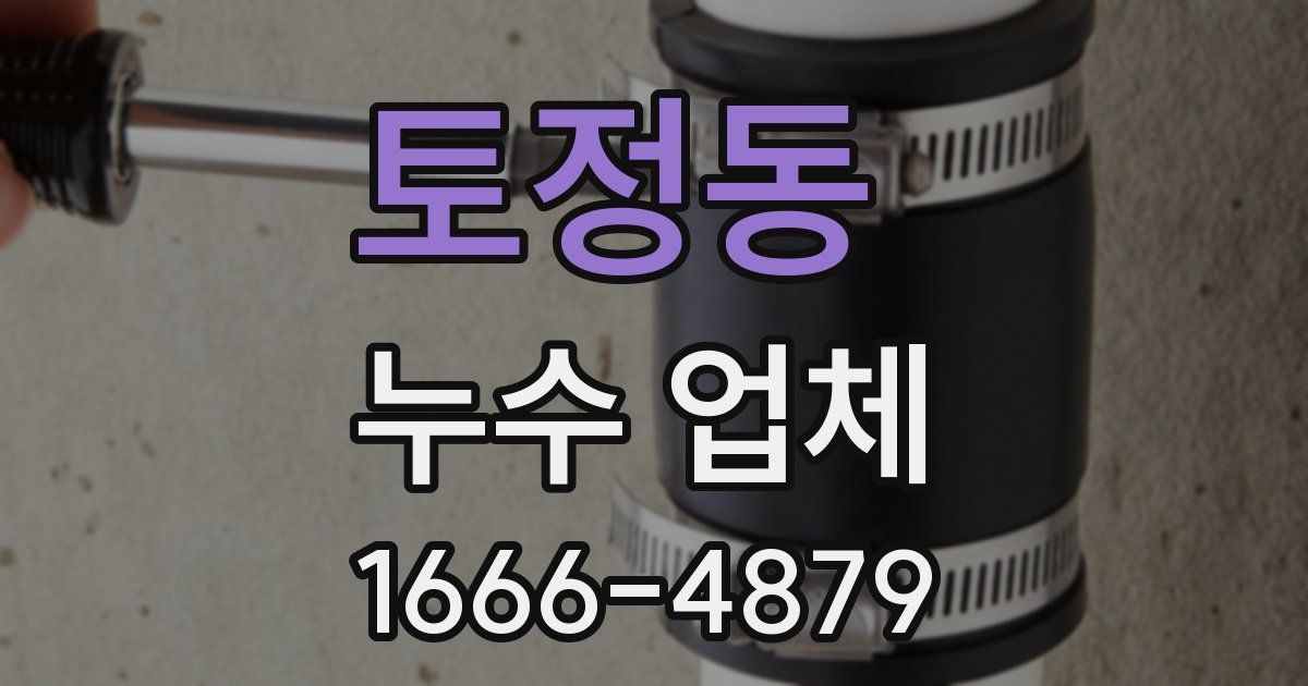 토정동 누수 업체
