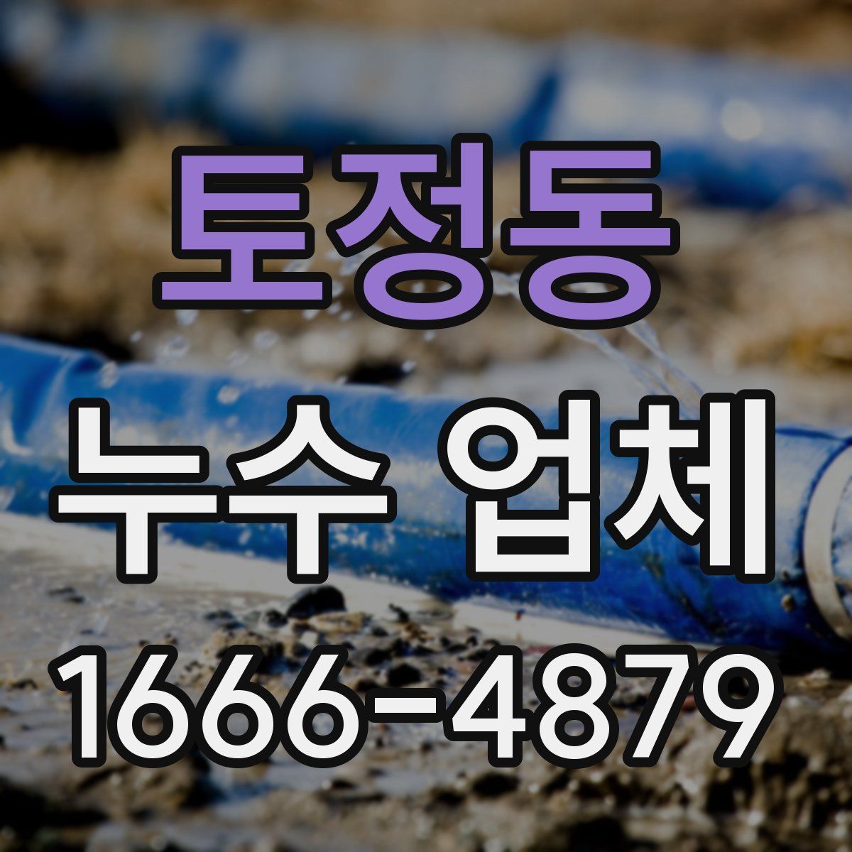 토정동 누수 업체
