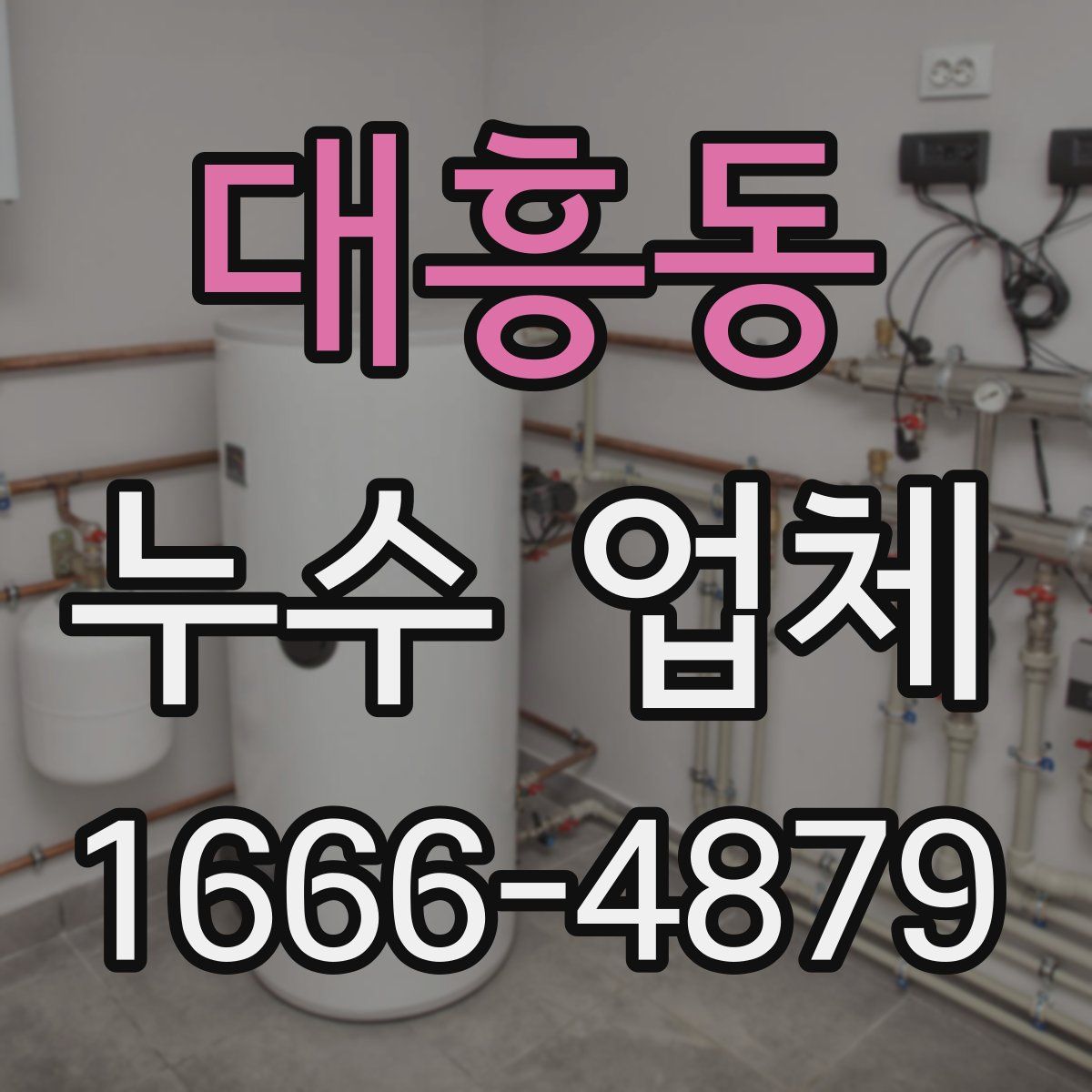 대흥동 누수 업체