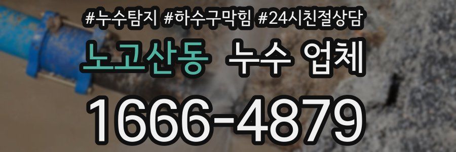 노고산동 누수 업체