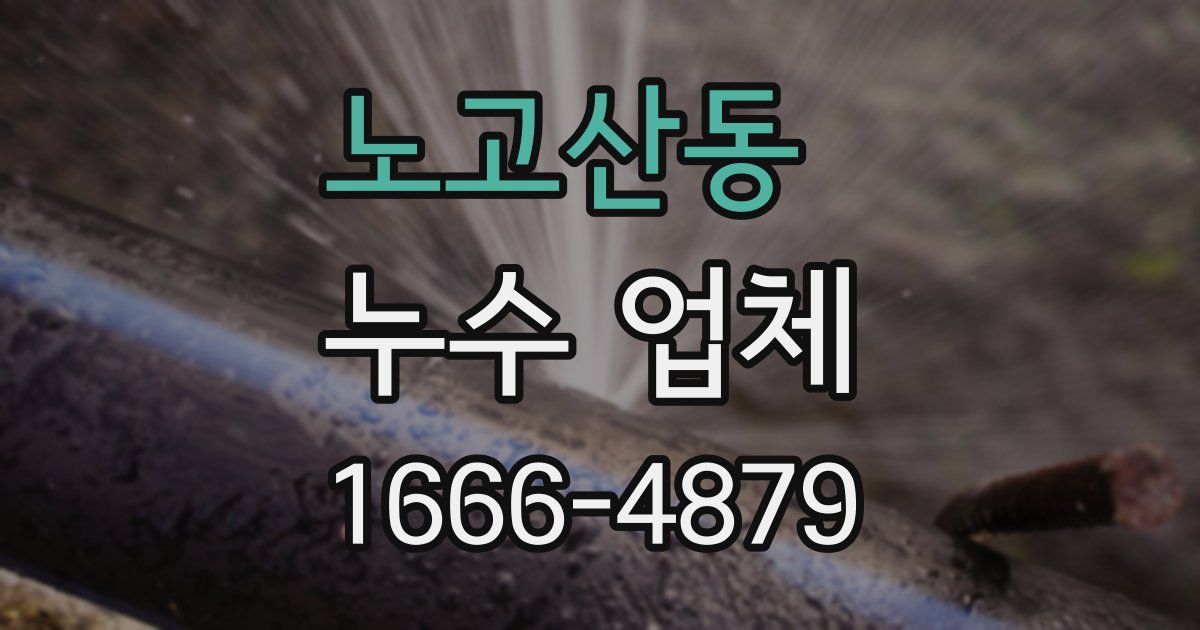 노고산동 누수 업체