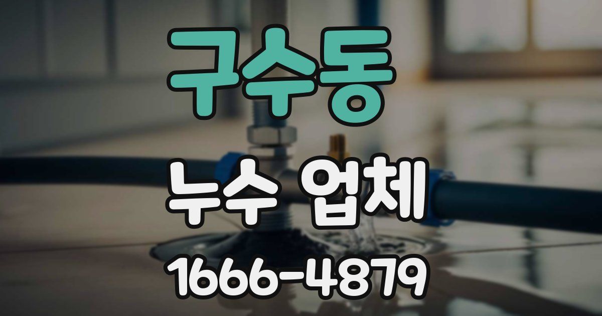 구수동 누수 업체