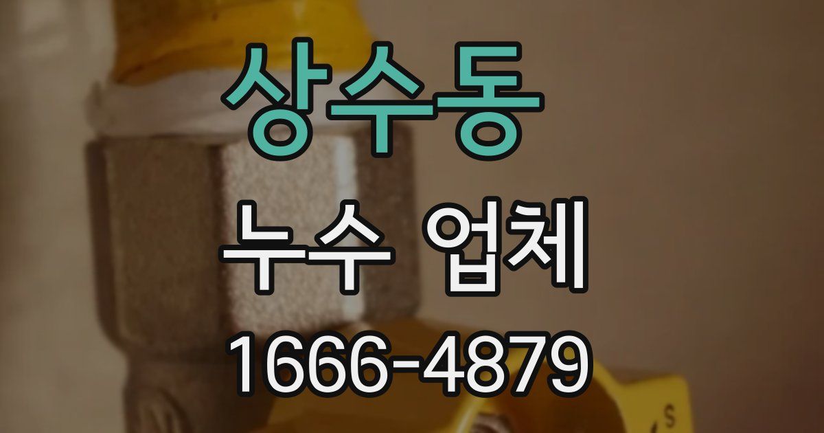 상수동 누수 업체