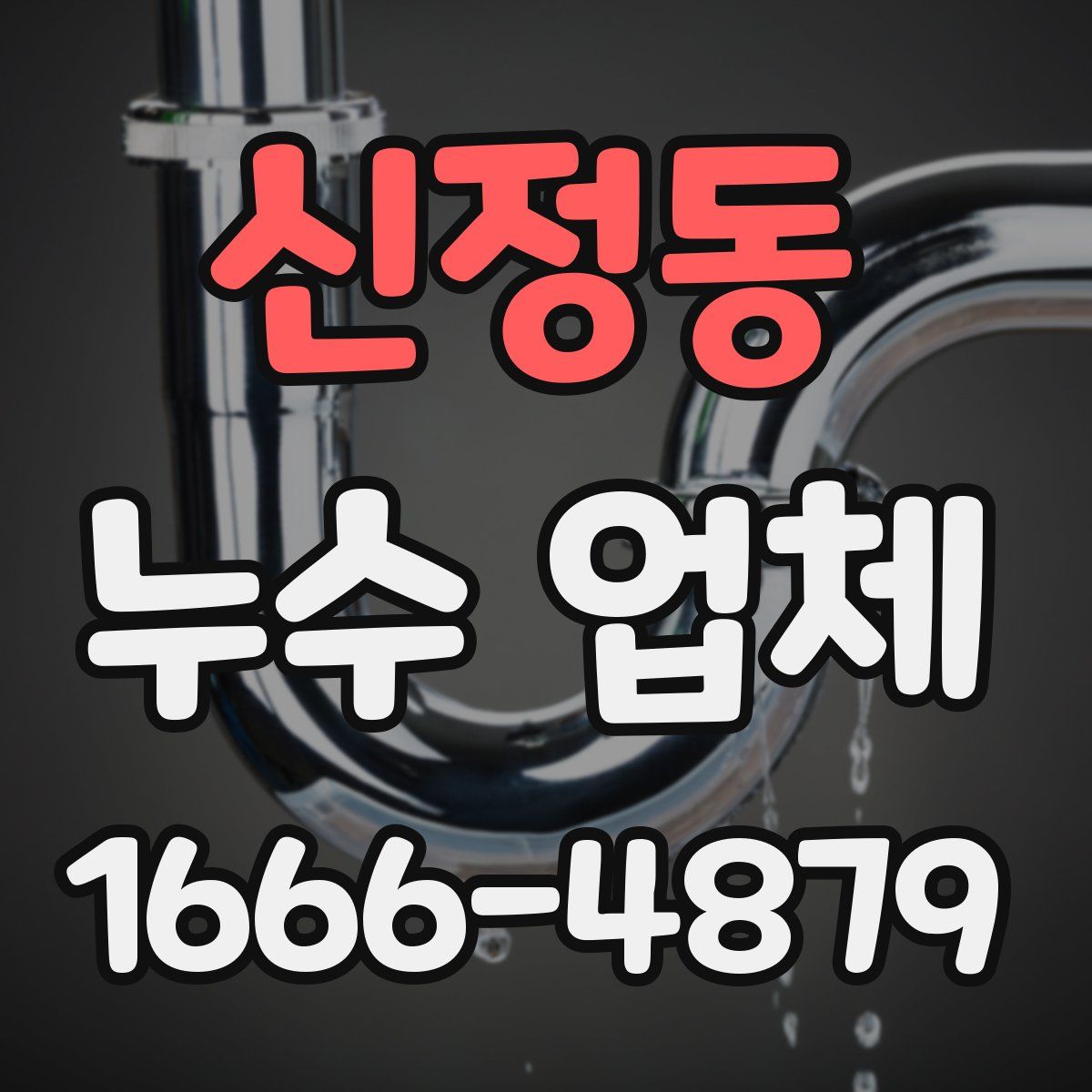 신정동 누수 업체