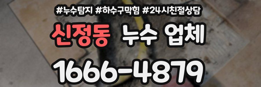 신정동 누수 업체