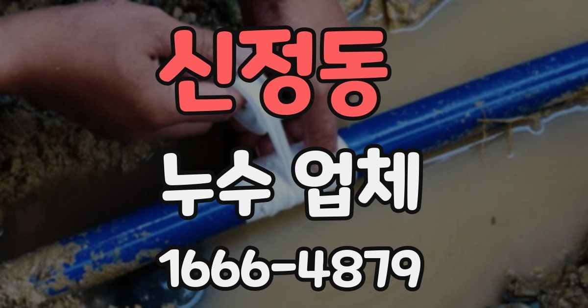 신정동 누수 업체