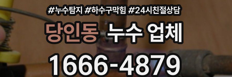 당인동 누수 업체