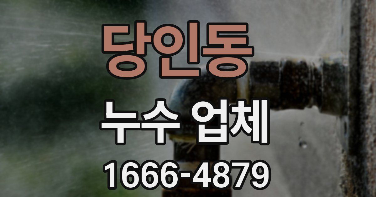당인동 누수 업체