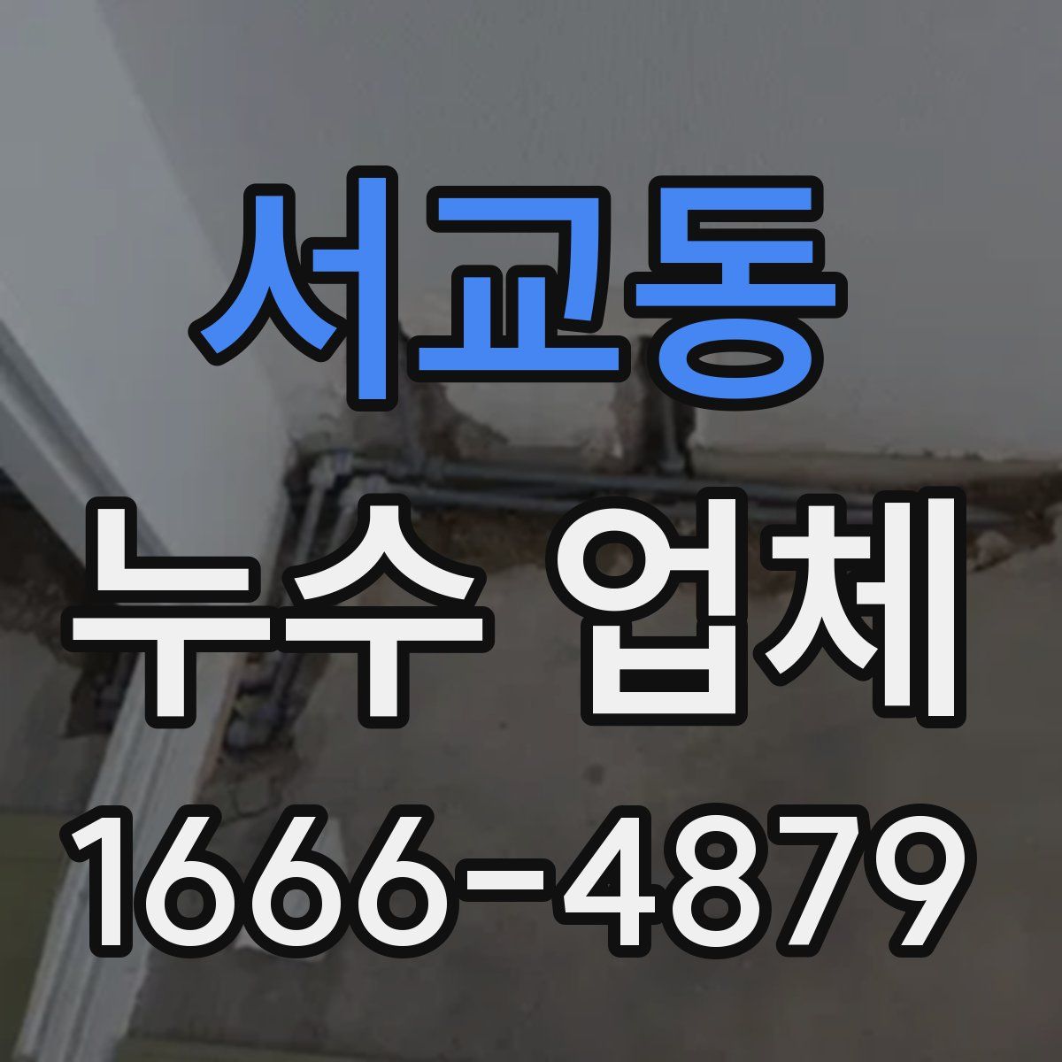 서교동 누수 업체