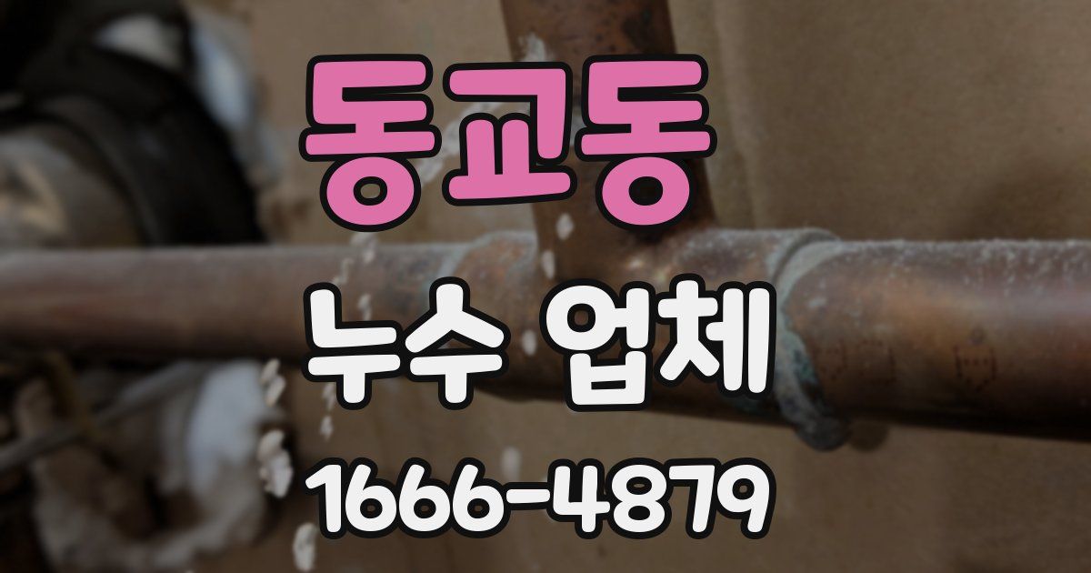 동교동 누수 업체