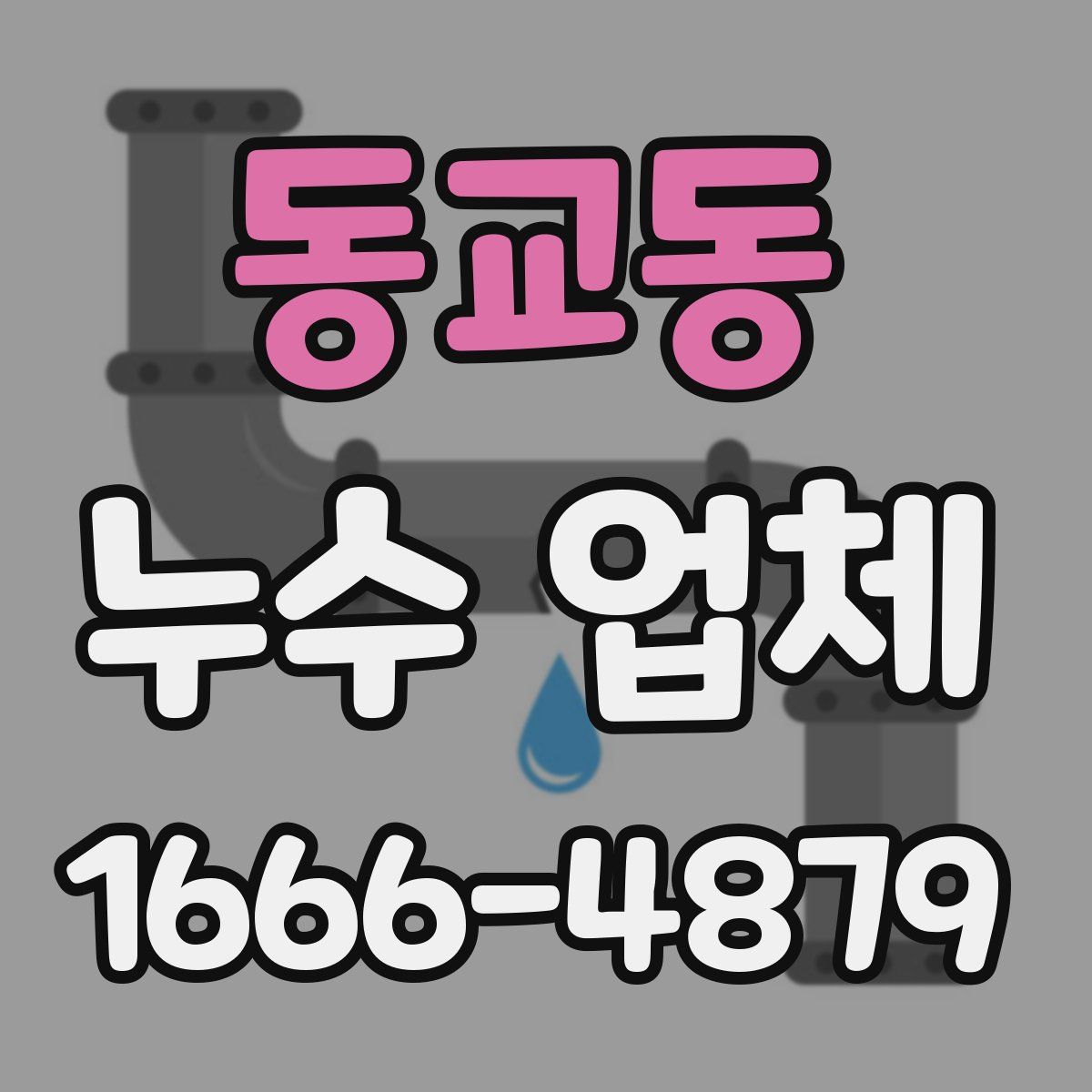 동교동 누수 업체